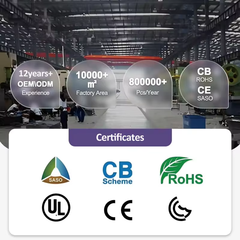 Commercial Grain Mill Grinder for Dry Materials (110V / 220V)